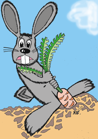 Hare cartoon