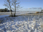  Отдых в зимней Эстонии
