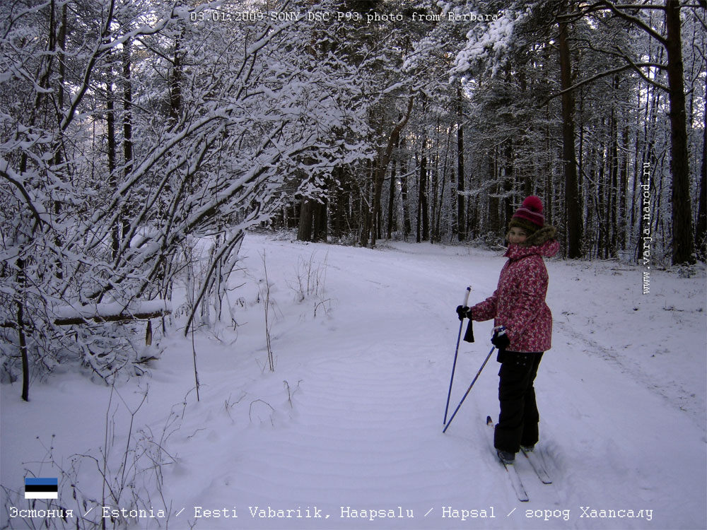 на лыжах в зимнем лесу в окрестностях города Хаапсалу