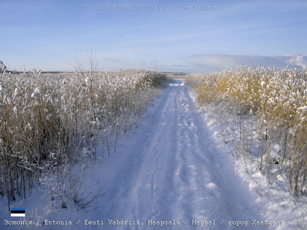 Зимняя дорога на взморье в Хаапсалу