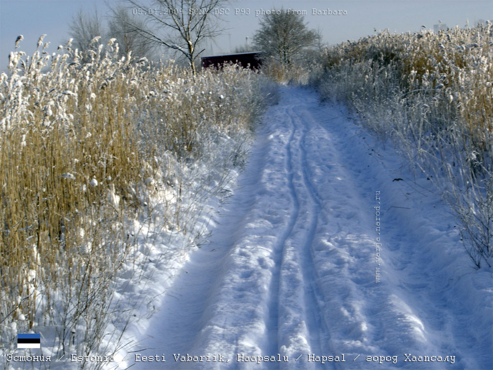 Лыжня на зимней дороге в Хаапсалу