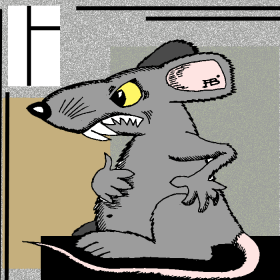 картинка крысы